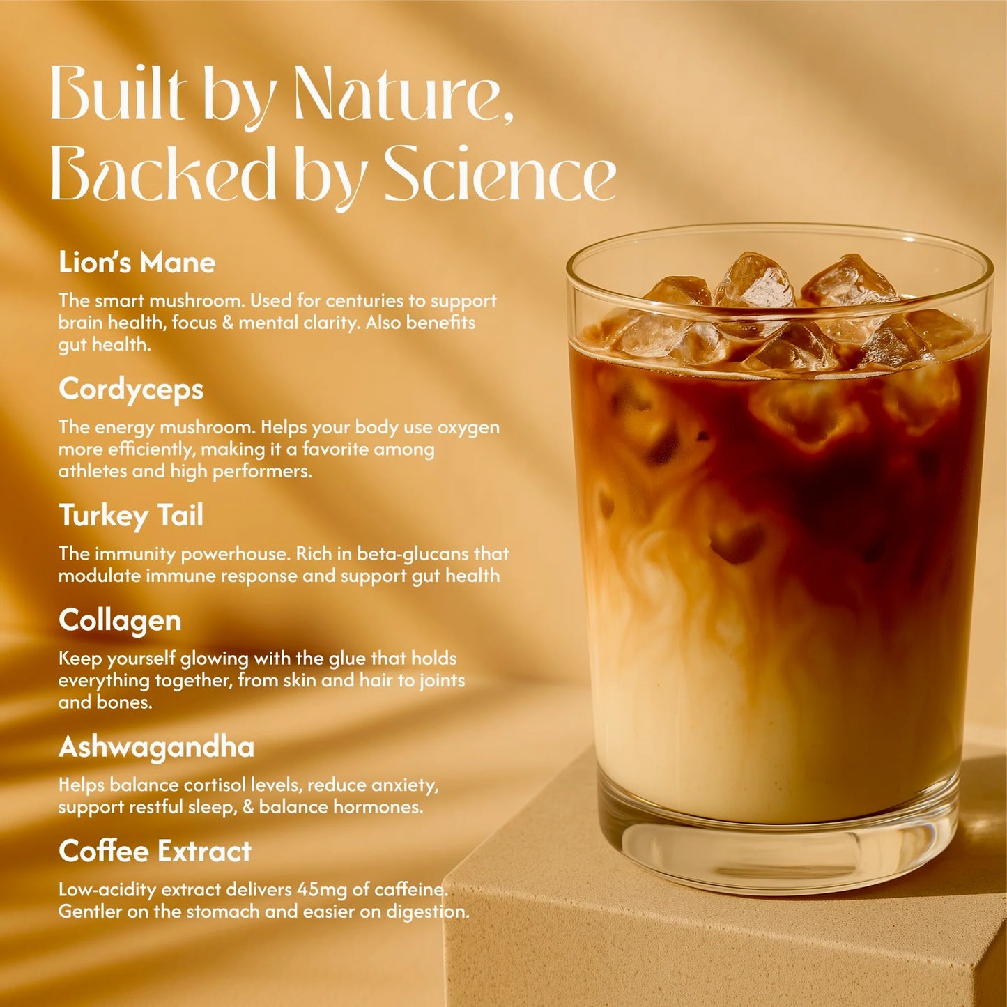 WAVY Superfood Brew